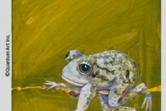 Spadefoot